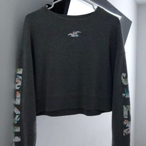 medium hollister hoodie